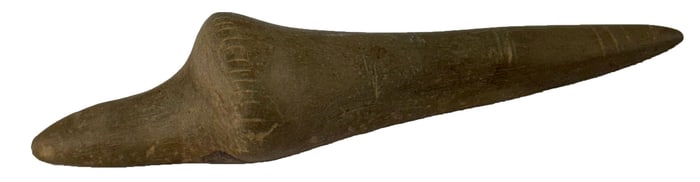 5 1/4" Greenstone Carved Lizard Effigy. Recovered in Hamblen County, Tennessee in the 1960s.