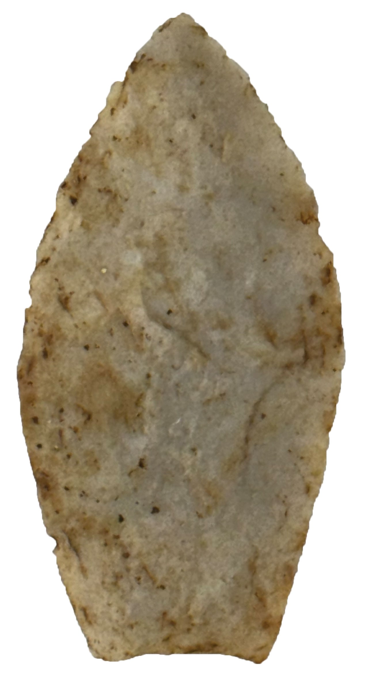 2 1/4" Notcha. Burlington Chert. Illinois. Ex William Sidell and Dean Mesnard. Granger COA. (1 of 3)