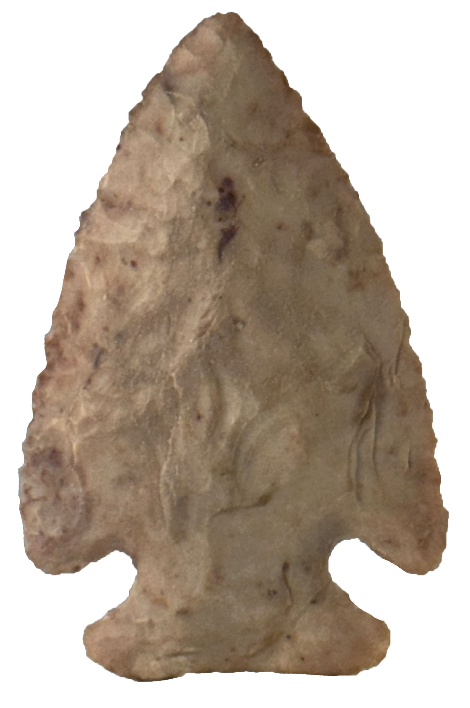 2 9/16” Dovetail. Tan FlintRidge. Adams County, IN. Bought from Old Barn Auction July 16, (1 of 2)