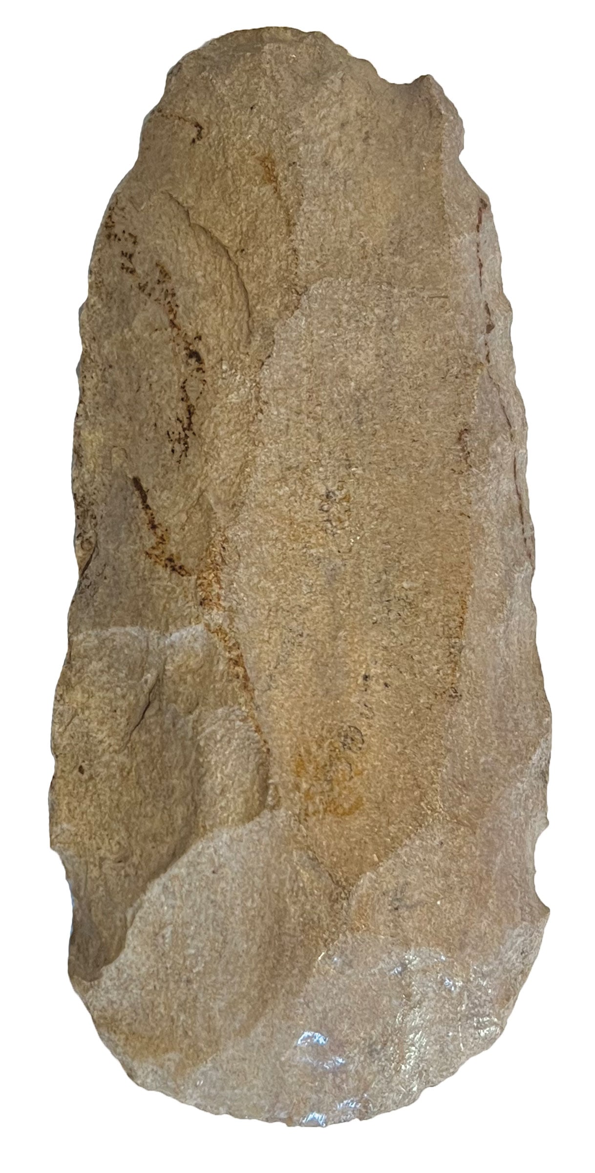 7 5/8” Flint Spade. Bit is heavily polished. Grey Weathered Chert. Ex Bob Croasdale. (1 of 2)