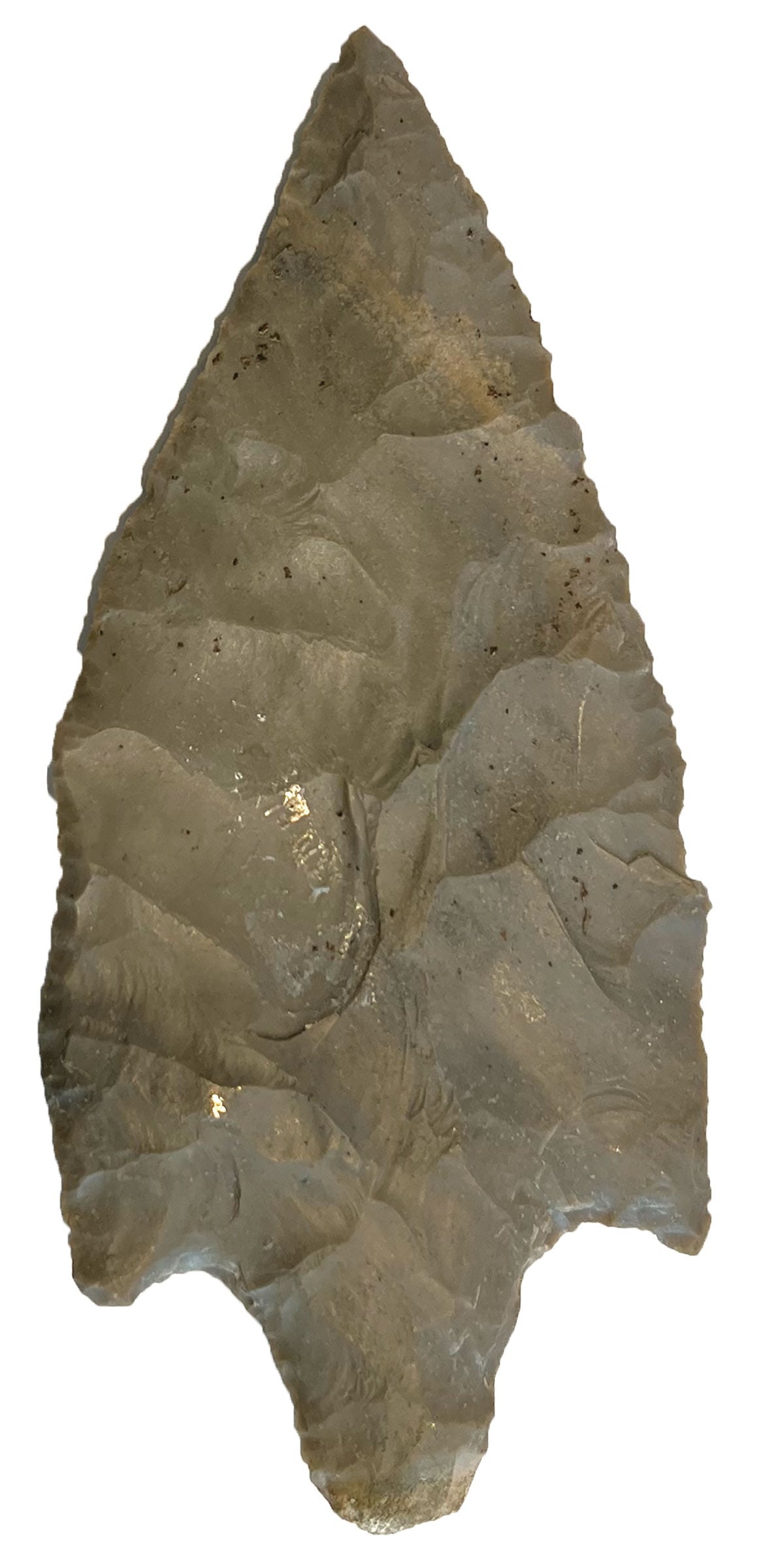 5 1/2” Nussbaum Turkeytail. Southern IN. Hornstone. Ex Doug Underwood and  (1 of 2)