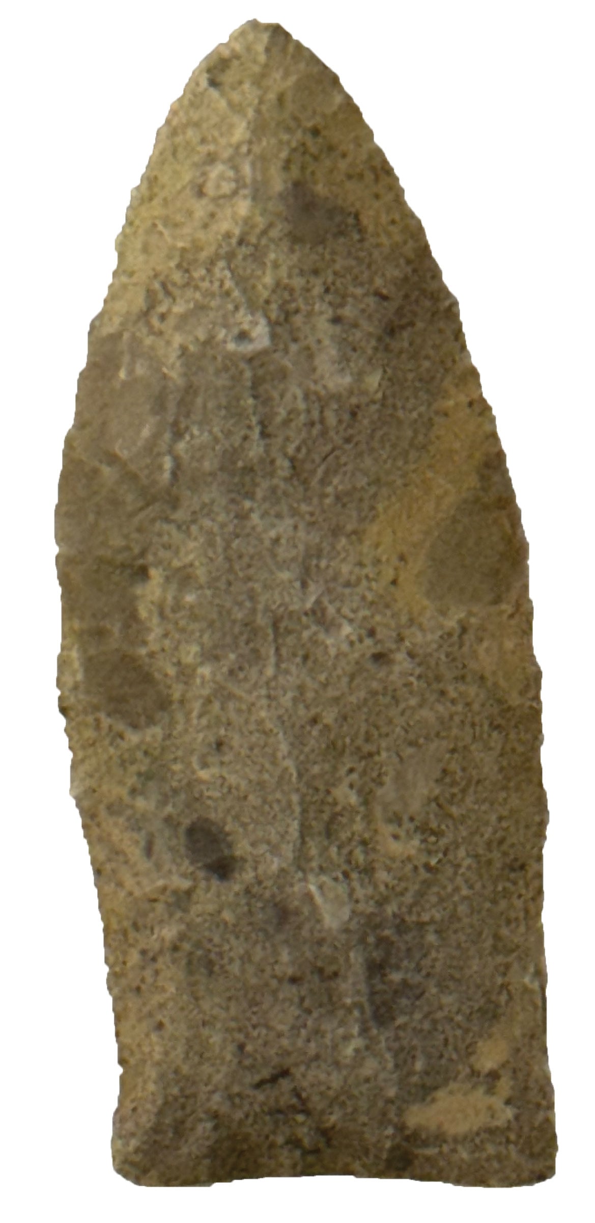 3” Suwannee Paleo Point. Swannee County, FL. Ex Nick Gray.  (1 of 2)