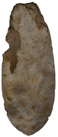 11 1/2" Spade. Mill Creek Chert. Illinios. Nice example. Ex Terry Allen