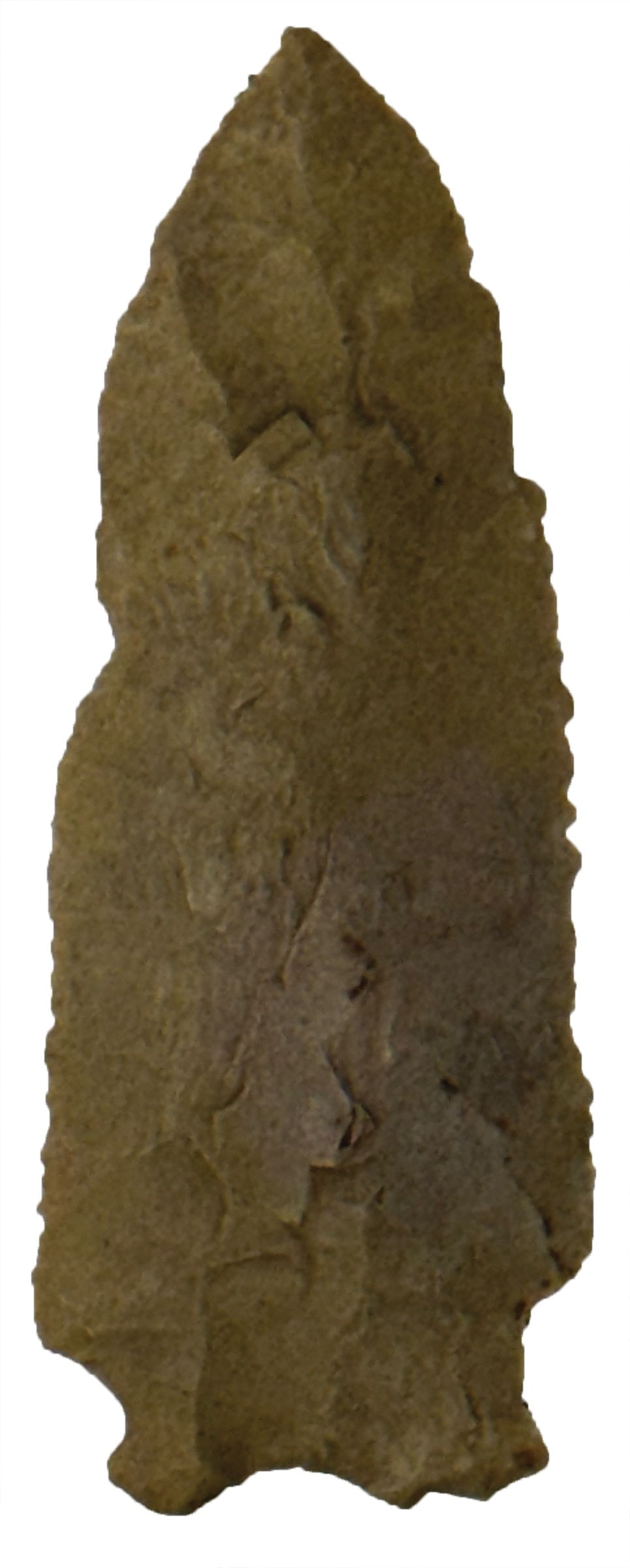 3 1/2" Buzzard Roost Creek. Fort Payne Chert. Tennessee. Ex Kent Hollbaugh. Davis COA. (1 of 3)