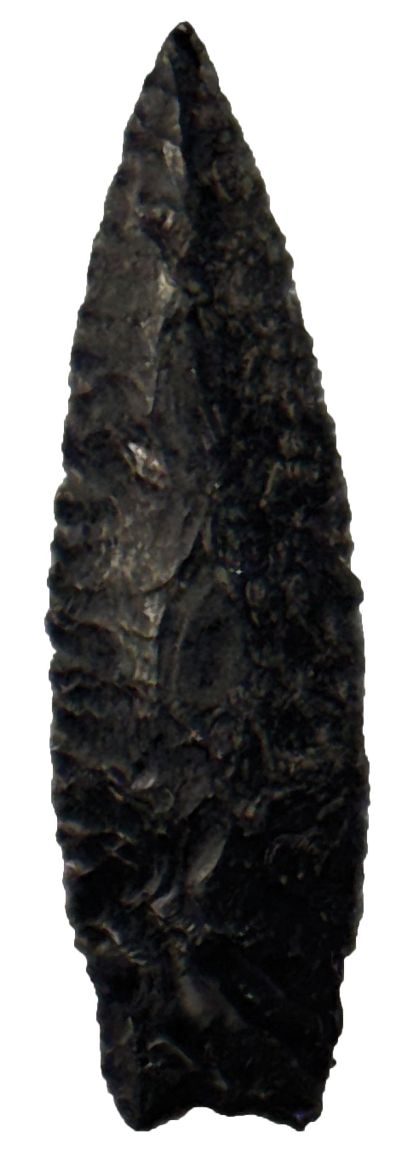 4" WinDust Transitional. Great Basin Oregon Obsidian. Oregon. Ex Bob Croasdale Collection. (1 of 2)