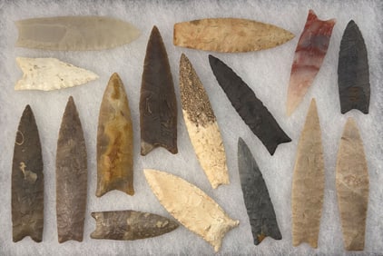 Frame of 16 Points for display. 2 5/8” to 4 7/16”. Nice examples. Ex Wally Zollman.