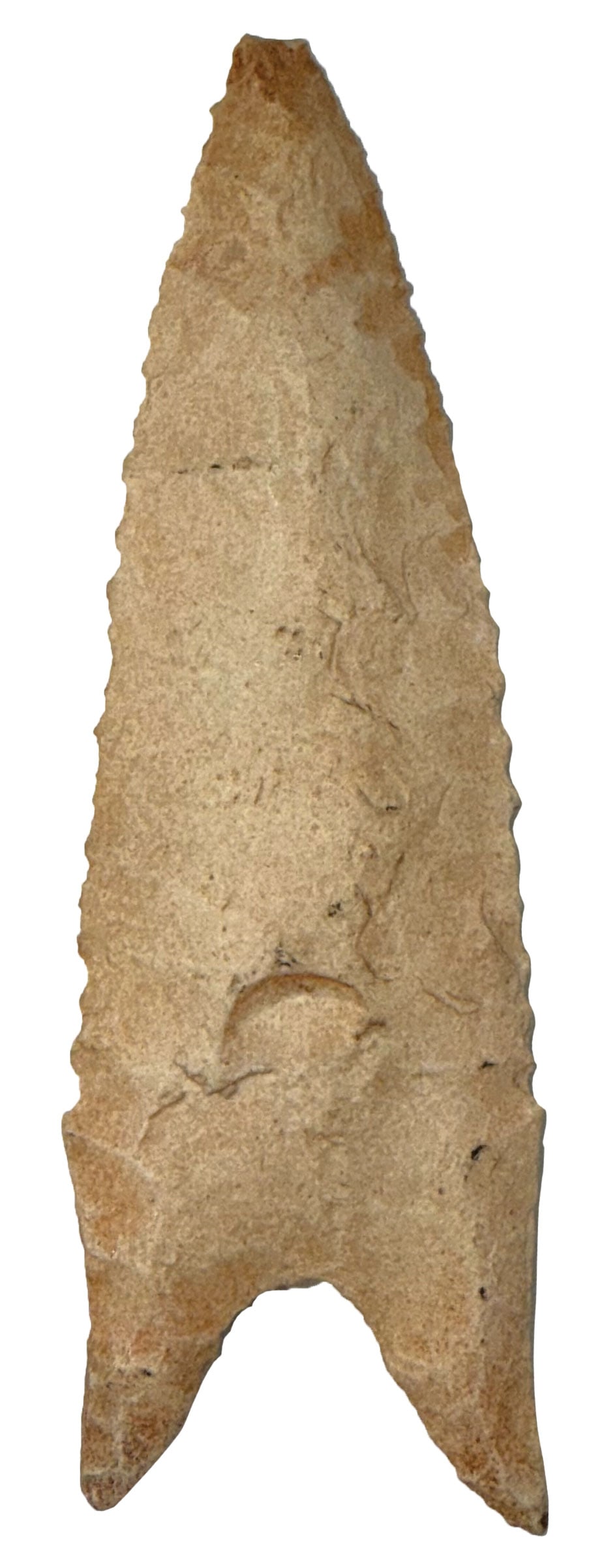 3 1/4"  Dalton. Clay County, Arkansas. Ex Jerry Davis and Steve Ford. (1 of 2)