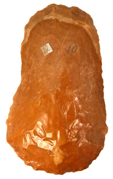 Carter Cave Spade. KY. Polish. Hasewinkel: 165. 4 7/8” Spade. Hickman Co, KY. Superb use polish on this Carter Cave example. Ex-Dr. Hasewinkel, Converse