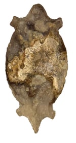 2 3/4" Turtle Effigy. Provinence unknown. Ex Doug Watkins.
