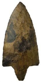 3 5/8" Fine Neunan Coral Point. Flordia. Who's Who 11. Ex King Ross.