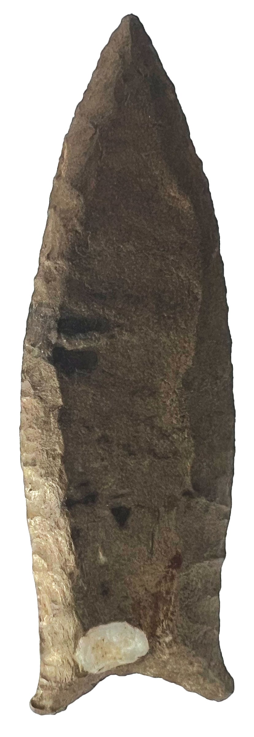 3 3/8" Cumberland. Fort Payne Chert. Tennessee. Ex Ron Lewis. Stermer COA. (1 of 3)