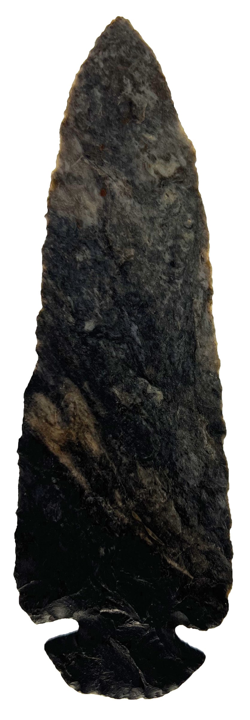 6 1/16" Monster Dovetail. Black Chert. Ohio. Ex Ben Hackney. Rogers COA. (1 of 3)