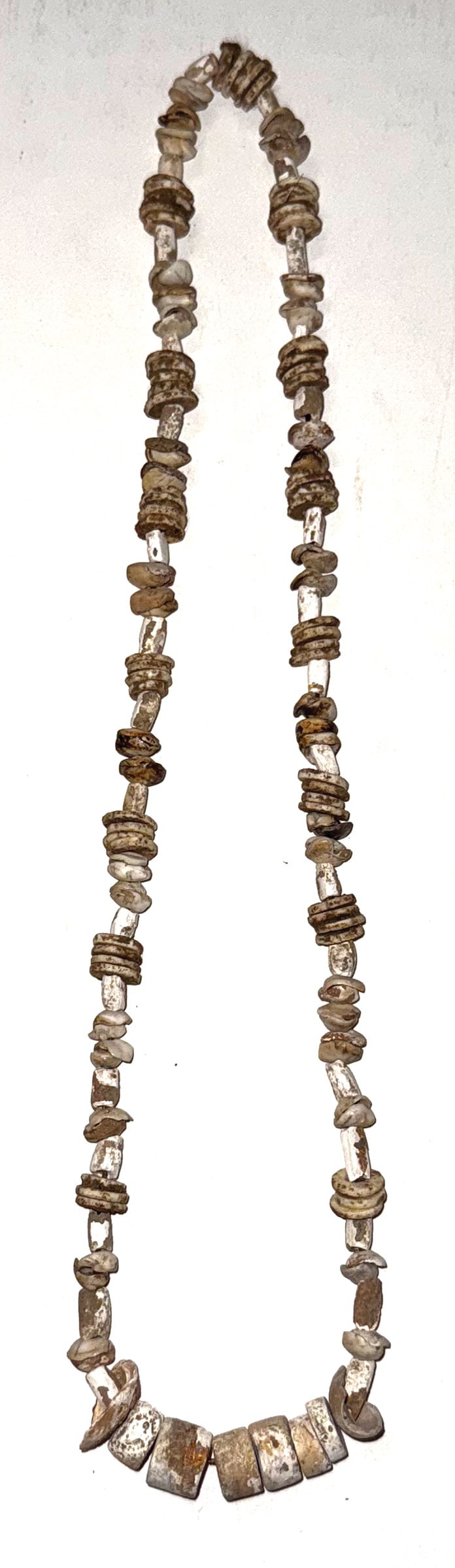 24 1/2" Williams Island Shell Bead Necklace. Pictured in  Who's Who 11. Ex King Ross. (1 of 4)