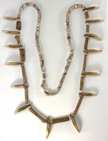36" Strand of Drilled Canine Teeth. Scioto Co, OH. Ex Col Raymond Vietzen.