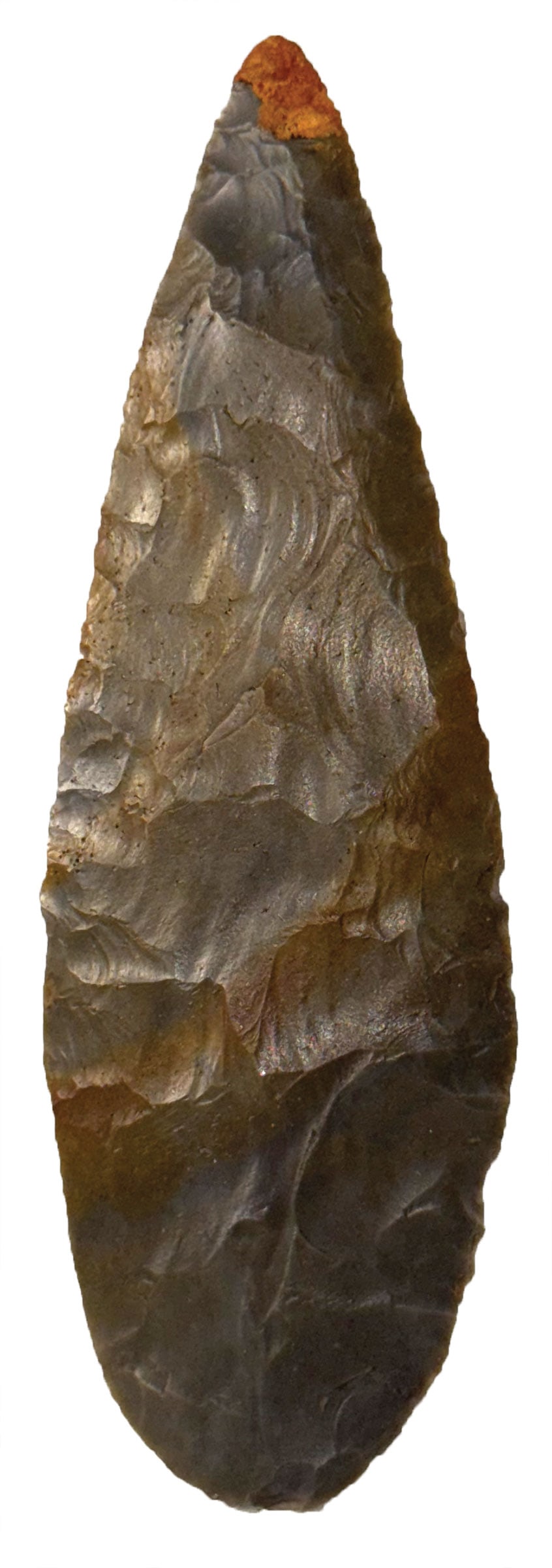 Cobbs Knife. Hornstone. Indiana. Minor restoration. Pictured. Ex King Ross Collections. : Cobbs Knife. Hornstone. Indiana. Very minor restoration. Pictured in Who's Who 11, page 451. Ex King Ross Collections.