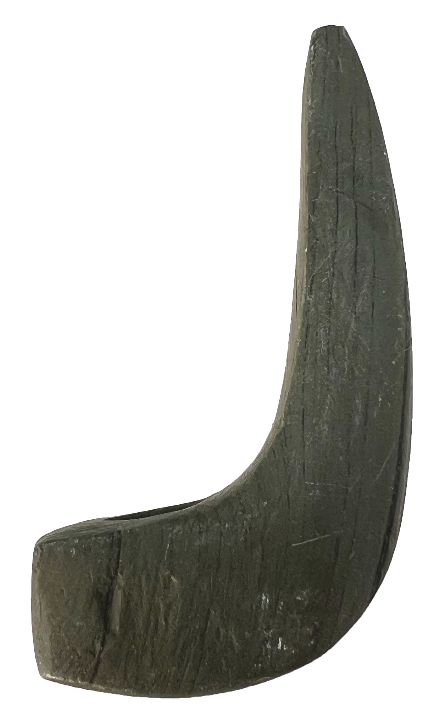 3" Geniculate. Green Slate. Ohio. Ex Bill Mangold.  (1 of 3)