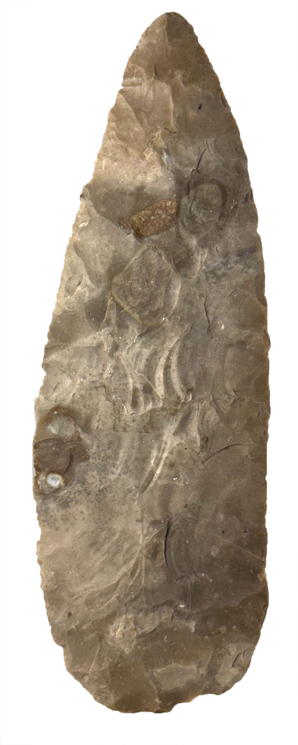 7 1/4" Blade. Crawley Site, Howard County, Missouri. Ex Roger Tucker and Kevin Pipes.  (1 of 2)