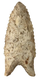 3 1/8" Paleo Clovis/Dalton. Chert Material. Midwest, US. Ex Doug Watkins.