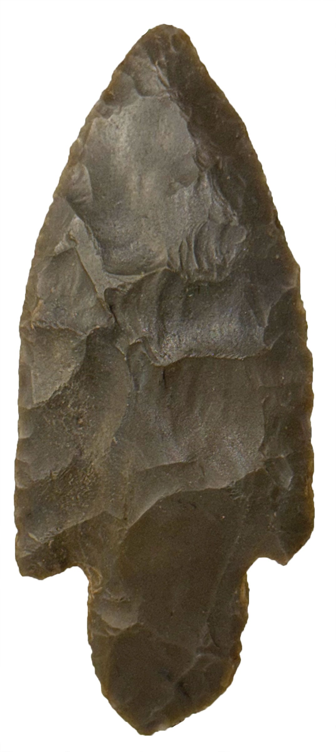 3 3/8" Adena. Hornstone. Indiana. J. Ex Kevin Pipes. Davis COA. (1 of 3)