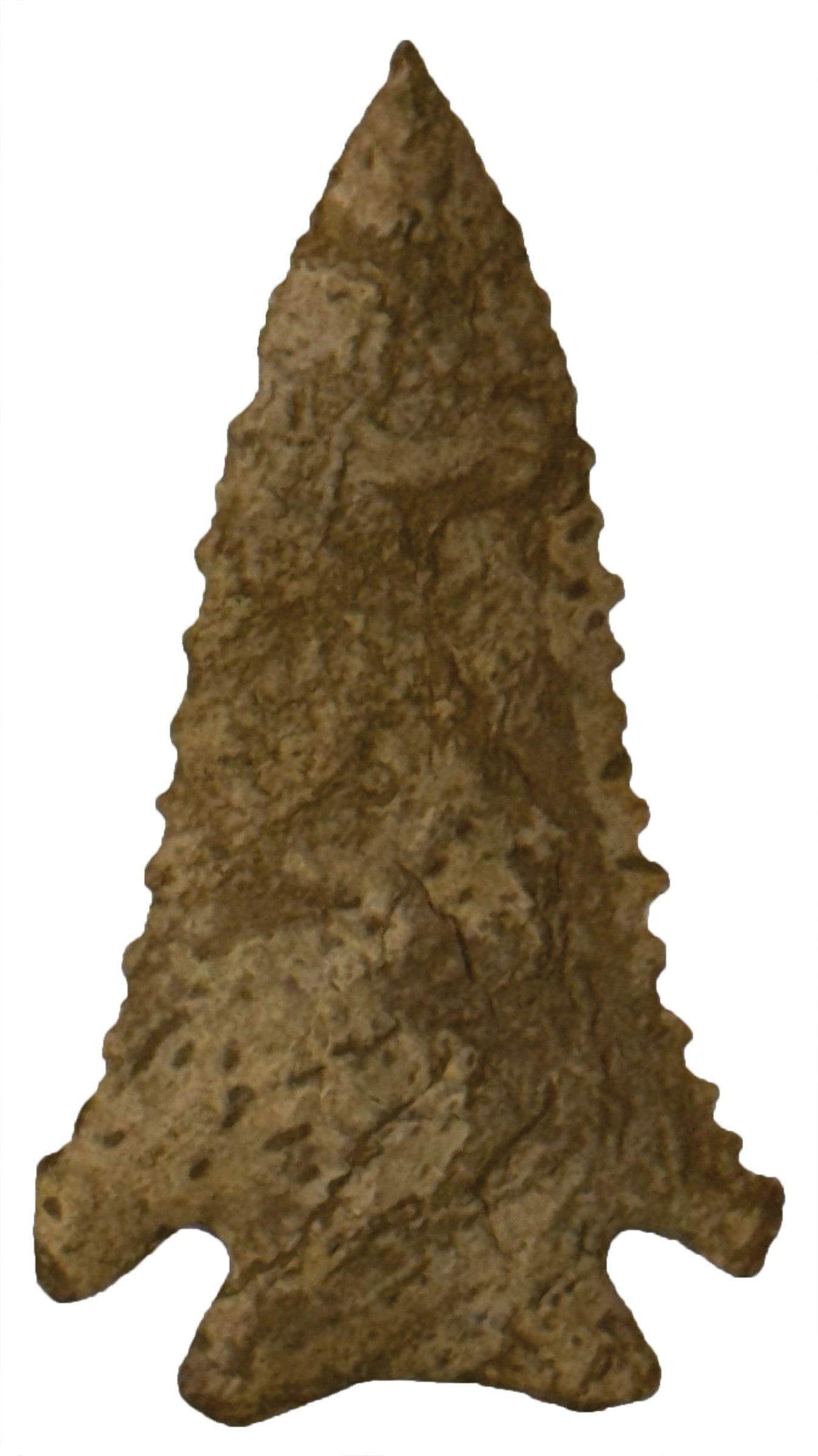 3 1/16" Pine Tree. Nice serrations. Mottled Brown to Tan Material. Ex Kevin Pipes.  (1 of 2)