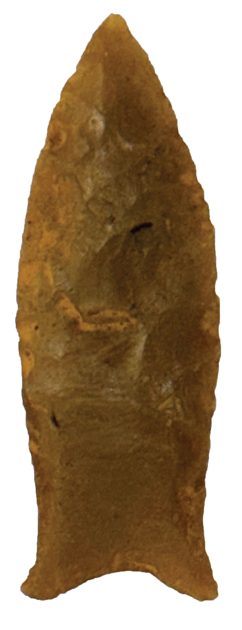 2 1/2" Clovis Point. Georgia. Pictured in  Who's Who 11. Ex King Ross Collection.  (1 of 2)