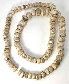 Strand of Couch Shell Beads. Fox Field Site, Kentucky. Pictured. Ex Sonny Atkinson. 