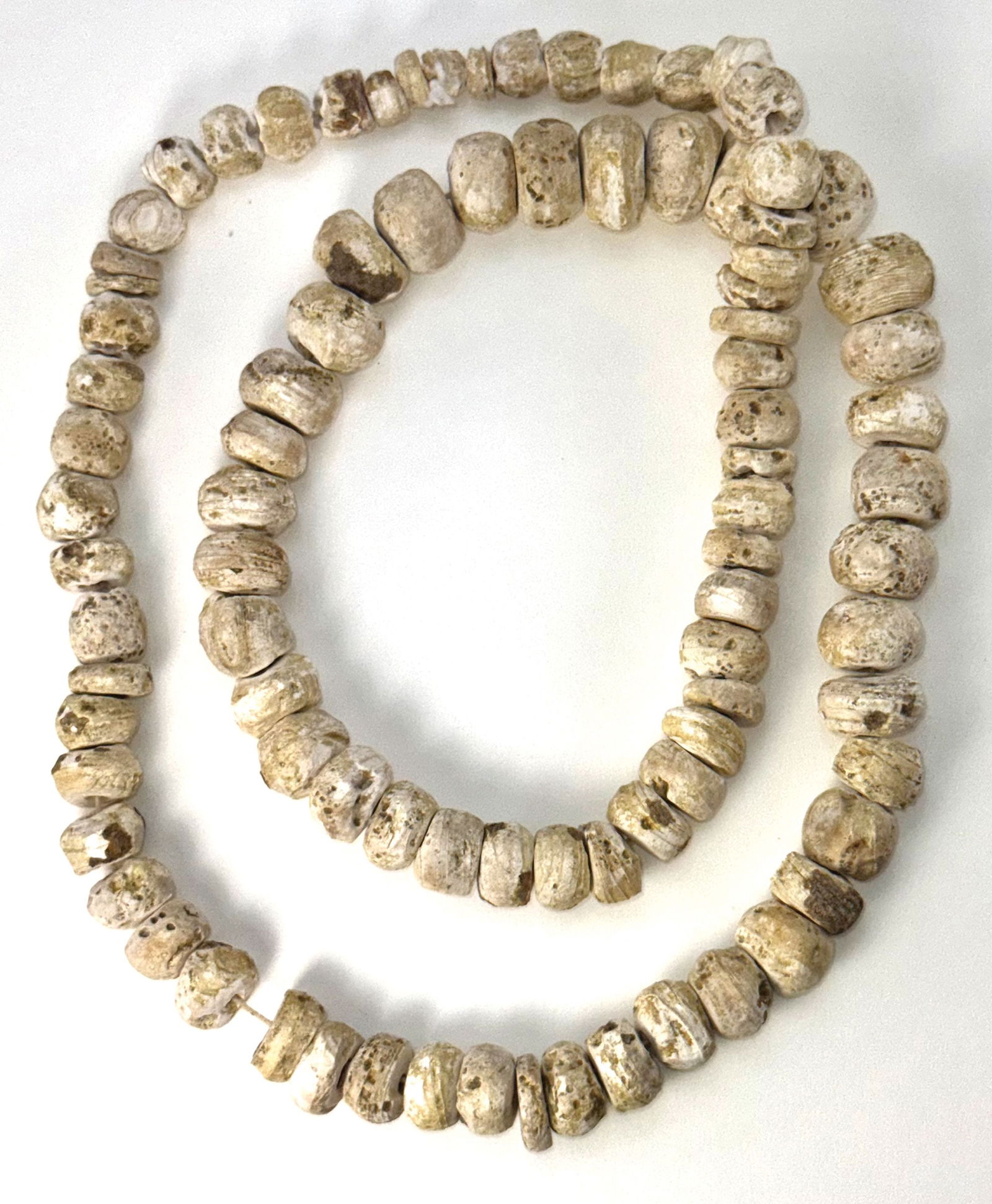 Strand of Couch Shell Beads. Fox Field Site, Kentucky. Pictured. Ex Sonny Atkinson.  (1 of 1)