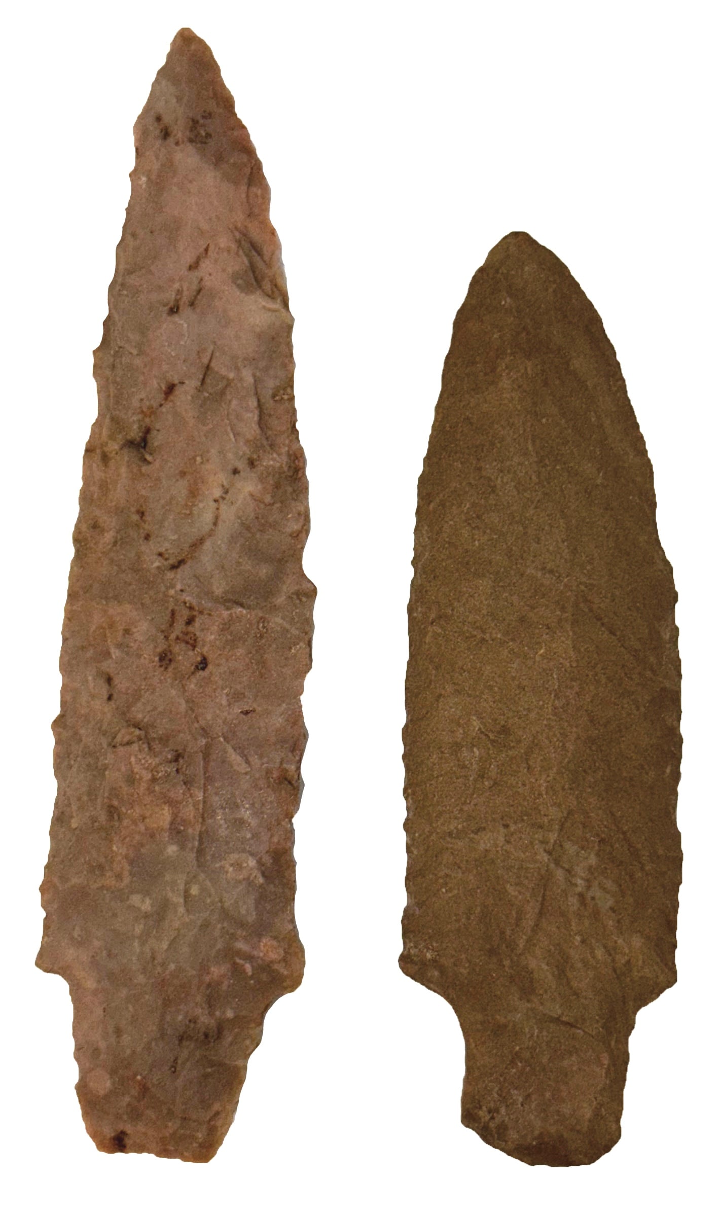 2 Savanah River Points. South Georgia. Pictured. Ex Bruce Butts and King Ross.  (1 of 2)