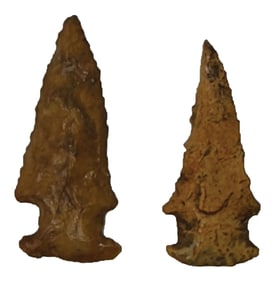 2 Nice Florida Balan's. Coral. Dixie County, Florida. Pictured in  Who's Who 11. Ex King Ross Collec