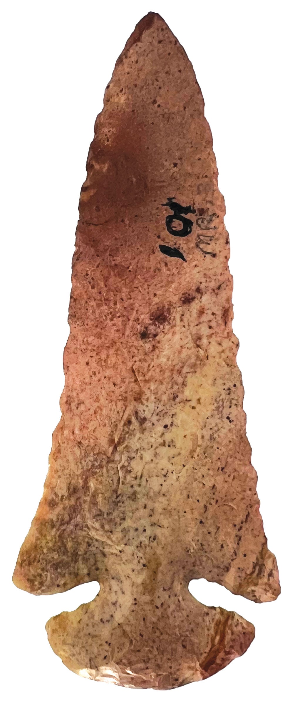 4" Dovetail. Ohio. Possibly Burlington Chert. Ex Harry Relinski. Putty COA.: 4" Dovetail. Possibly Burlington Chert that has been water stained. Ohio. Ex Harry Relinski. Putty COA.