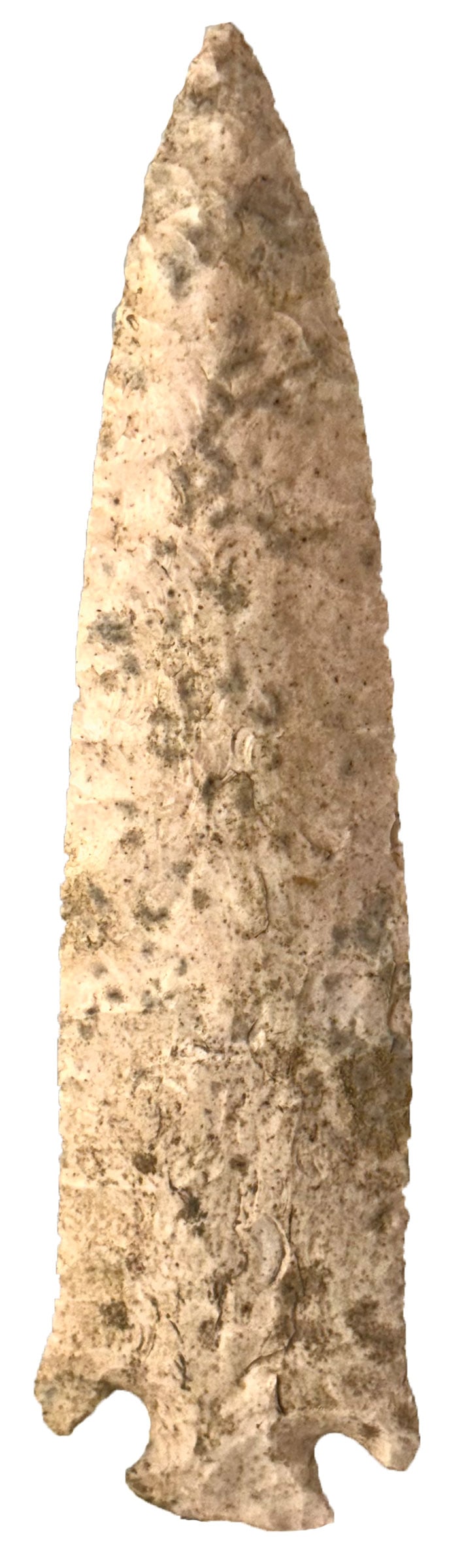 7" Etley. Boone County Chert. Missouri. Ex Roy and Bryce Hathcock. Putty COA.: 7" Etley. Boone County Chert. Callaway County, MO. Ex Roy Hathcock, Bryce Hathcock, and Jeff Hunt. Putty COA.