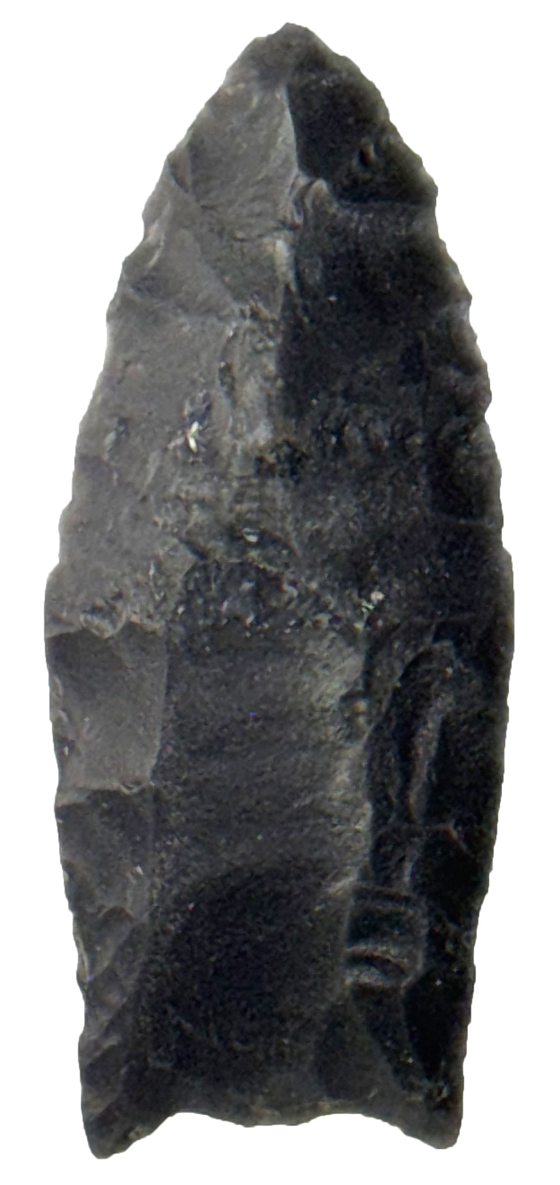 2 3/8" Clovis. Dark Gray Hornstone. Fluted. New Mexico. Ex Forrest Fenn and Nick Gray.  (1 of 2)