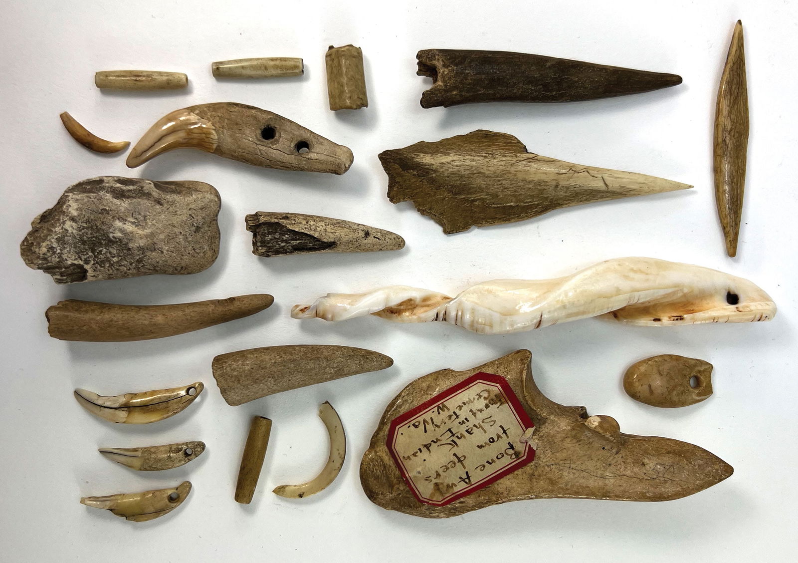 Frame of Bone, Teeth and Shell Artifacts. Ex Bill Mangold.: Frame of Bone, Teeth and Shell Artifacts. Ex Bill Mangold.
