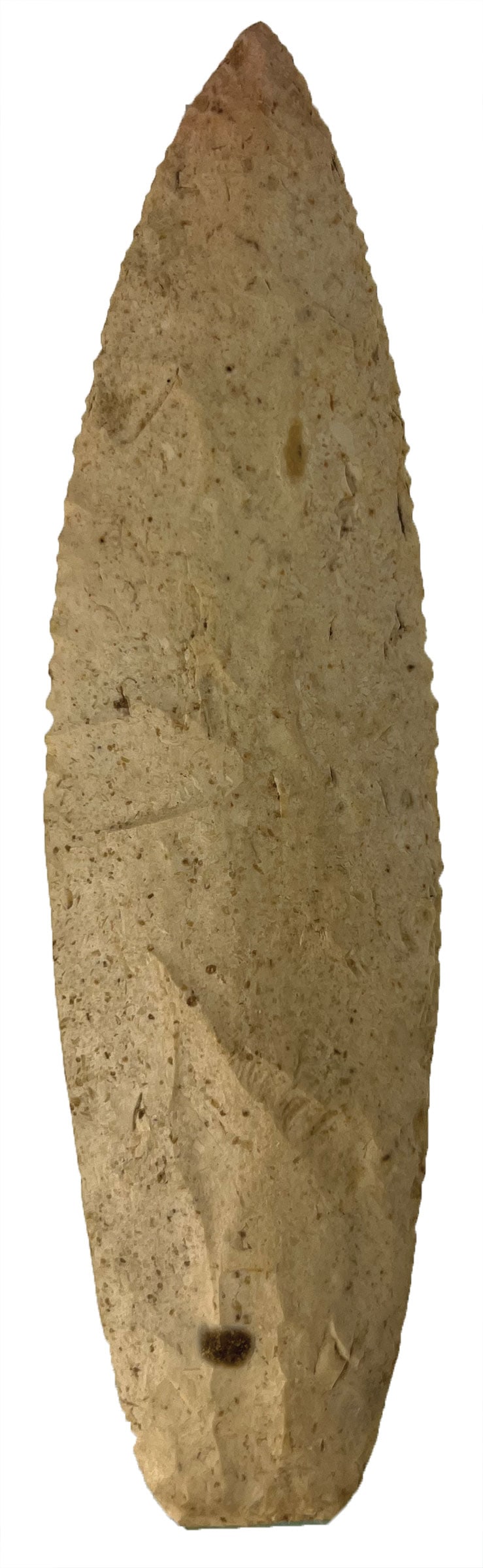 5 3/4" Nochta. Burlington Chert. Missouri. Ex McCabe and Roos. Stermer COA. (1 of 3)