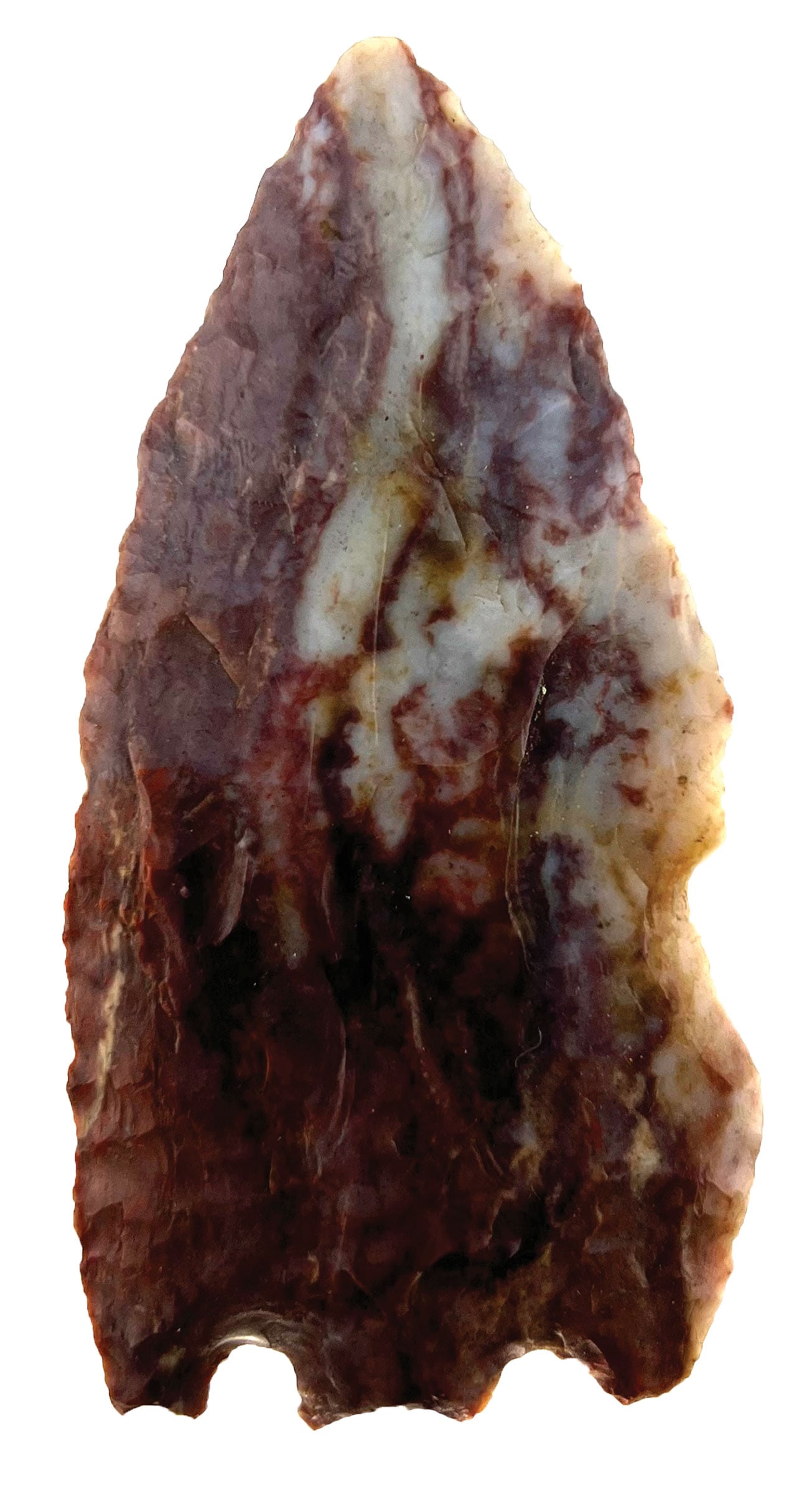 3 1/2" Basal Notched Knife. Alibates. Found in Eastern Colorado. COA. (1 of 3)