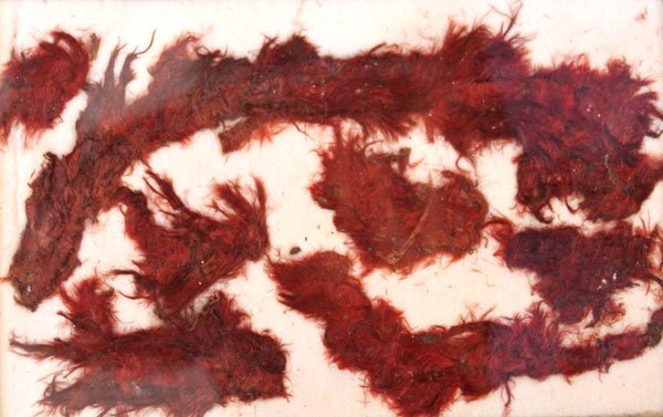 39. Fabric Remnants from Spiro Mound. Red, anciently: 39. Rare offering: 900 yr old Fabric Remnants from Spiro Mound. Red, anciently dyed fabric sealed in 8” x 10” Riker Frame