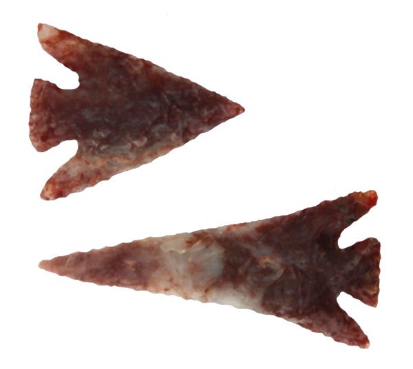 333. 2 Columbia River Points. 7/8” & 1 1/2”. Davis: 333. 2 Columbia River Points. 7/8” & 1 1/2”. Very fine examples. Found together in OR. Davis G10 COA