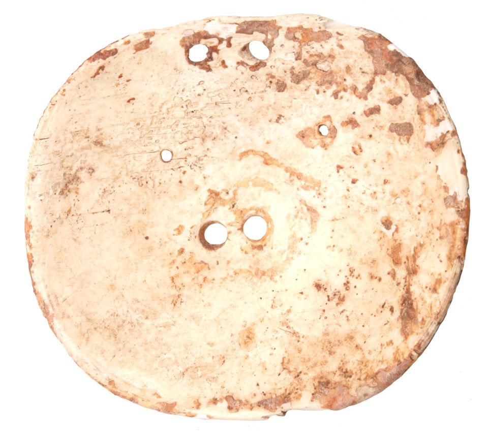 2 7/8" Shell Gorget. Orchard Midden Site. Four holes: 2 7/8" Shell Gorget. Orchard Midden Site. Four holes