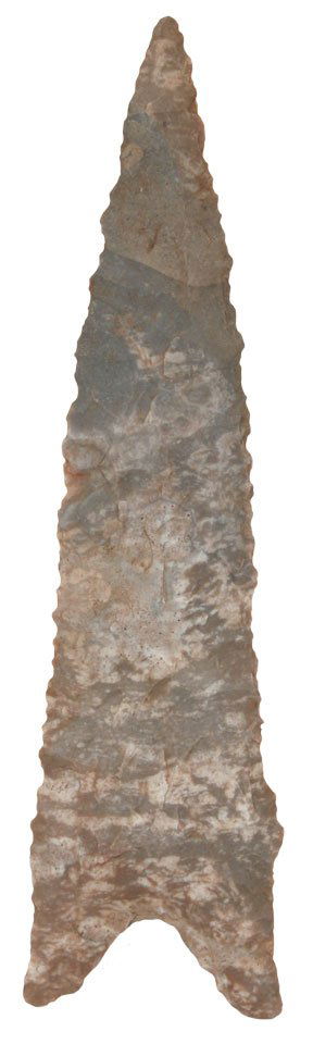 5 1/8" Dalton. Ballard Co, KY. Ft. Payne. Davis G10: 5 1/8" Dalton. Ballard Co, KY. Ft. Payne. Large and colorful example. Davis G10 COA