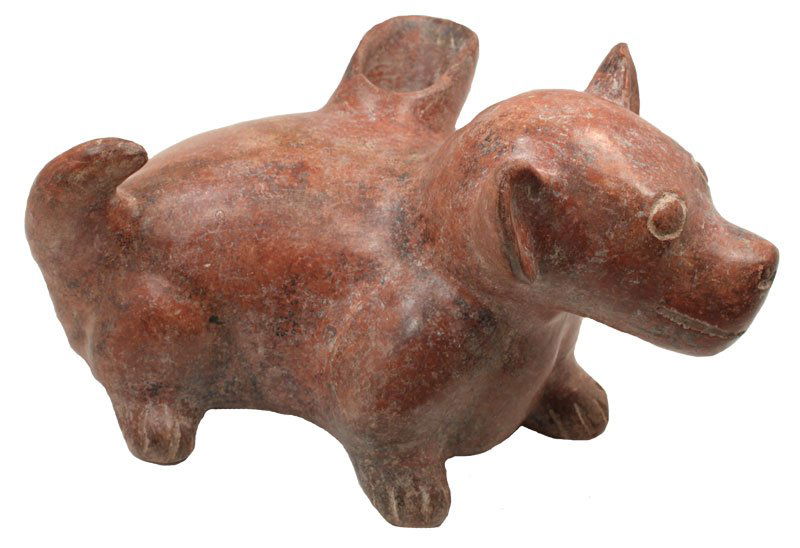 9 1/2" Modeled redware Reclining Techichi (Colima Dog): 9 1/2" Modeled redware Reclining Techichi (Colima Dog) with curly tail, well-modeled head, spout on back. Colima. MX. 250 BC to 250 AD. 1986 Dockstader Appraisal. PreColumbian