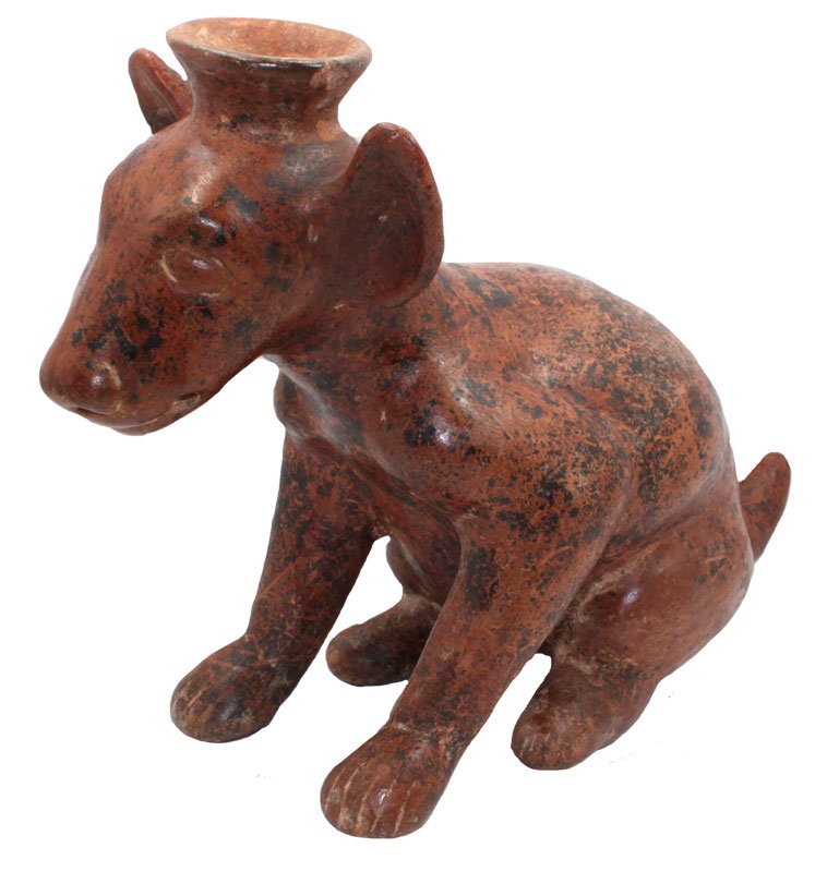 10" L. Modeled Redware Techichi. Colima, MX. 250 BC: 10" L. Modeled Redware Techichi. Colima, MX. 250 BC to 250 AD. Crounching Dog Effigy in a well modeled form. Dockstader 1984 Appraisal. PreColumbian