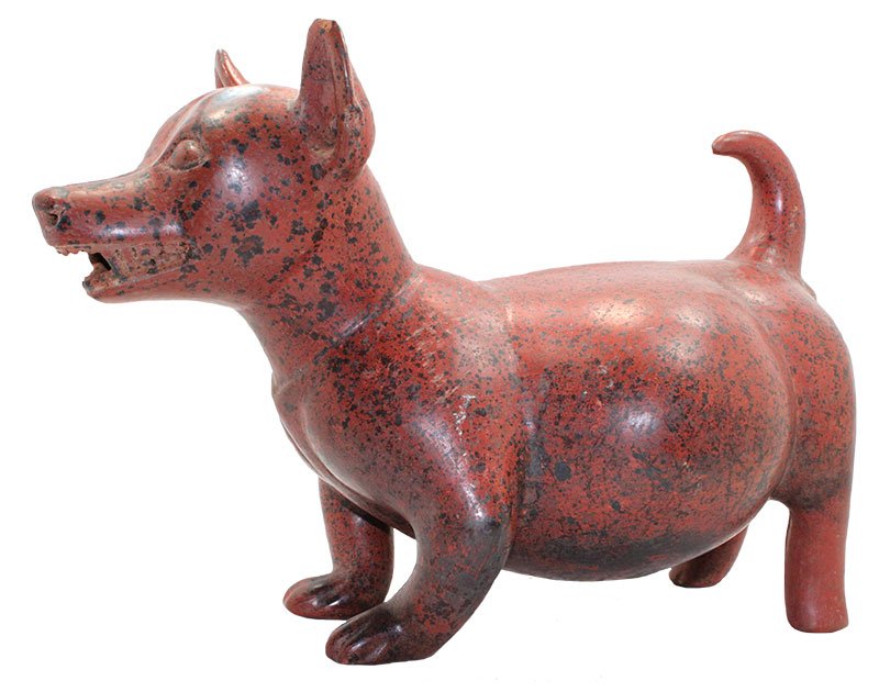Large (15"), well modeled Techichi (Colima Dog). Mar 14, 2015 Tony