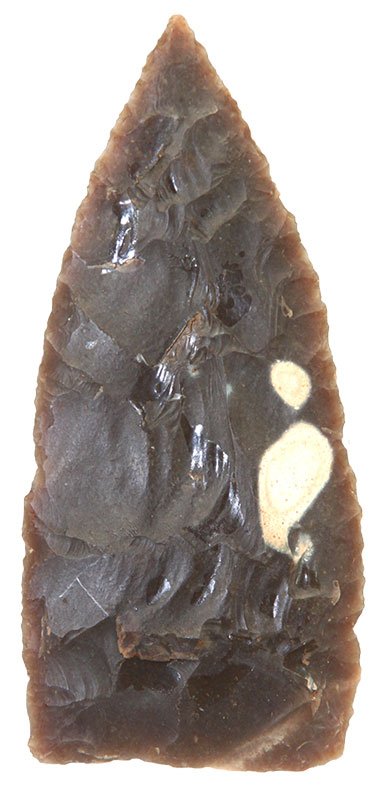 4 1/2" Archaic Fleshing Knife. TX. Root Beer Edwards: 4 1/2" Archaic Fleshing Knife. TX. Root Beer Edwards . Thin, well made. Davis G10 COA