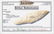 10" Morse Knife. Livingston Co, KY. Earl Townsend - 3