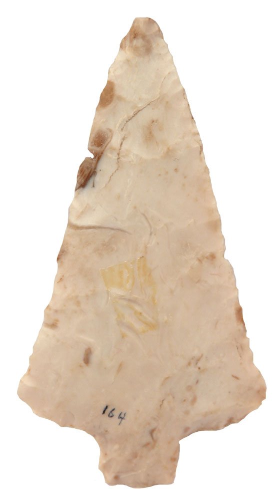 4" Dickson.  Bloomington, IL.  Thin, glossy chert.  Leo (1 of 2)