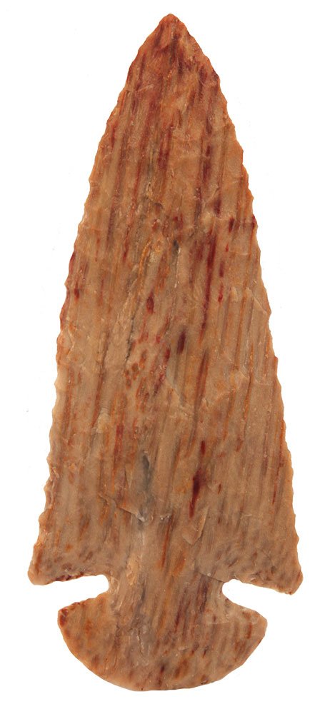 3 7/8" Dovetail.  KY.   Petrified Wood.  Vivid colors. (1 of 3)