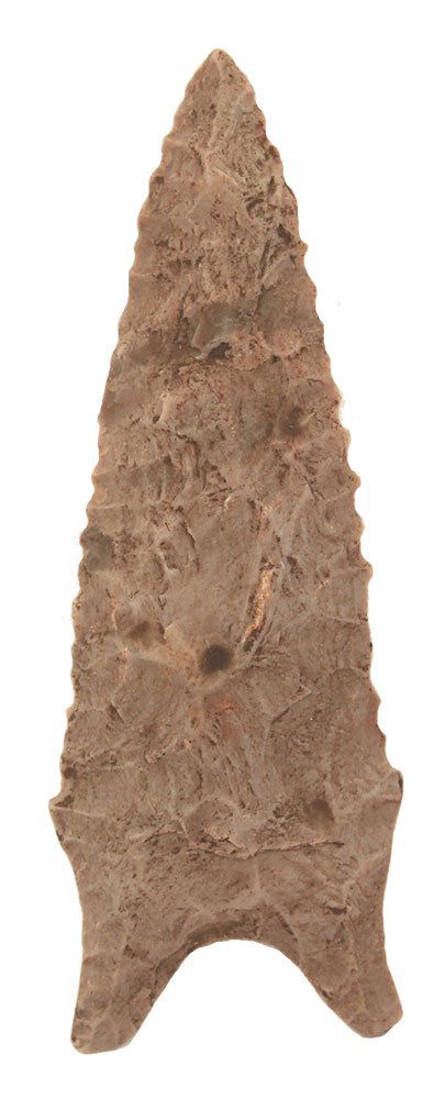 2 7/8" Hemphill Dalton.   Boone Co, MO.  Boone Chert. (1 of 3)