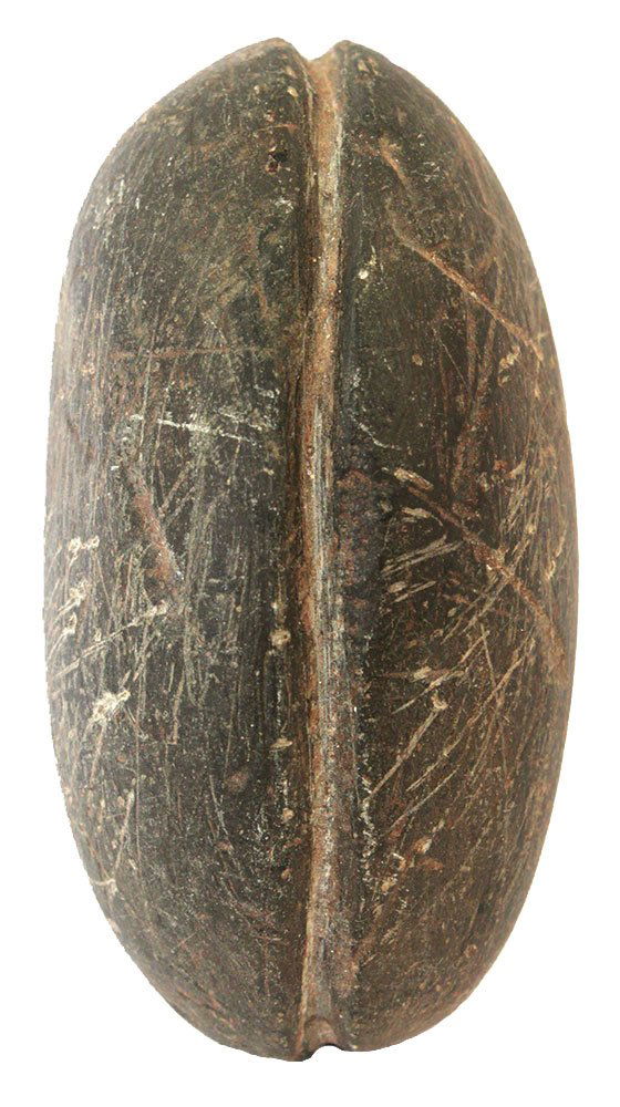 2 5/8"" Grooved Altatl Weight.  Hardstone.  Crib Mound. (1 of 2)