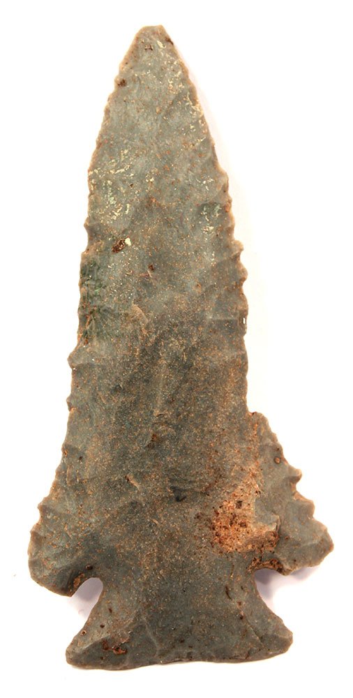 Large 3 3/4" Pinetree.  KY.  From the old Lewis (1 of 2)