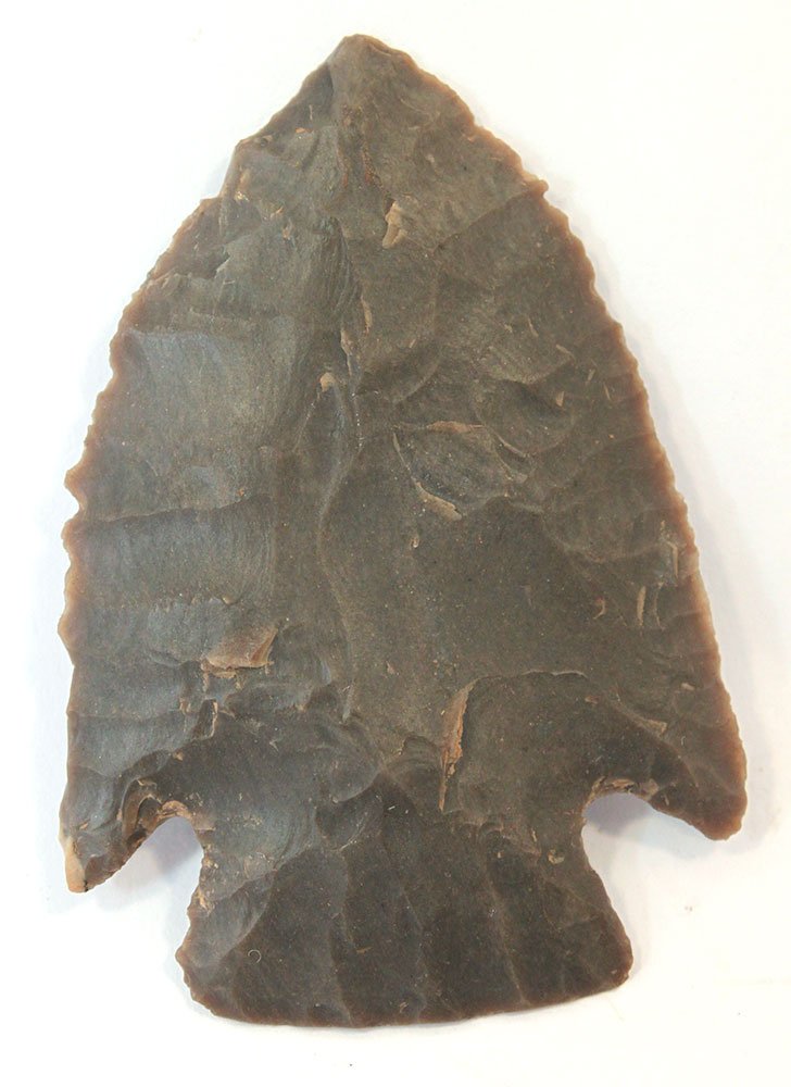 2" Hornstone Pinetree.  Harrison Co, IN.  Nice example. (1 of 2)